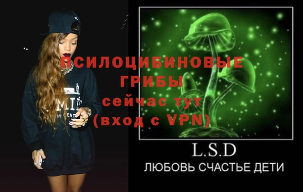 мдпв Приозерск