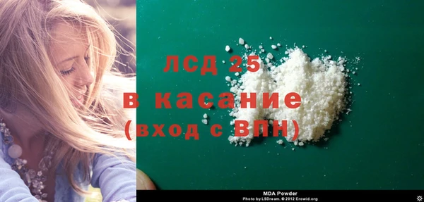 индика Абаза