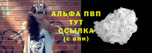 индика Абаза
