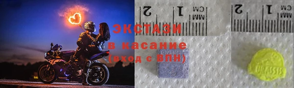 индика Абаза