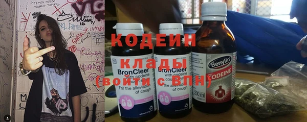 индика Абаза