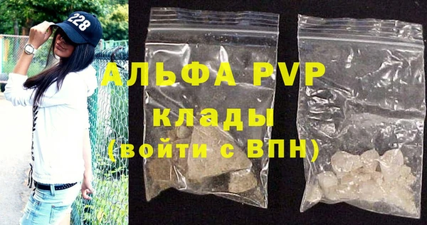 индика Абаза