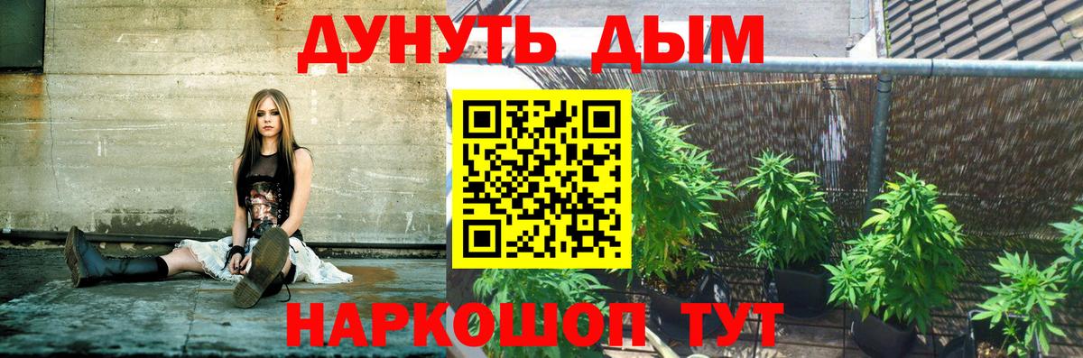 Бошки Шишки сатива Донецк